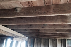 Gray Barn 3